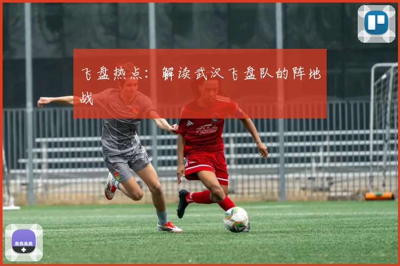 飞盘热点：解读武汉飞盘队的阵地战