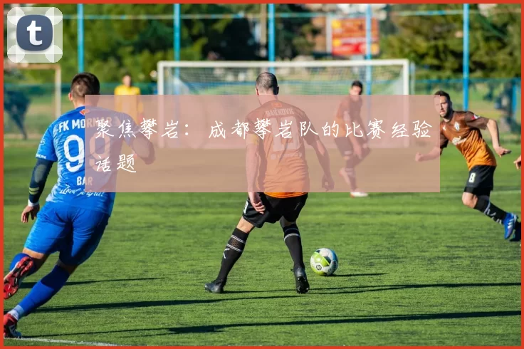 聚焦攀岩：成都攀岩队的比赛经验话题