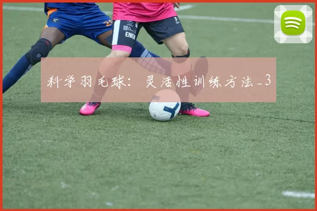 科学羽毛球：灵活性训练方法_3
