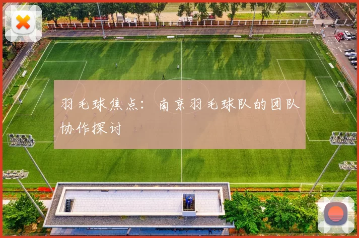 羽毛球焦点：南京羽毛球队的团队协作探讨