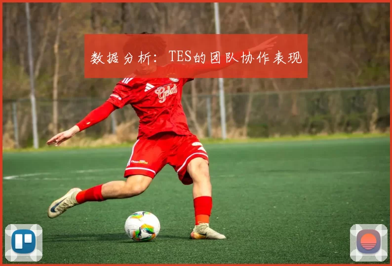 数据分析：TES的团队协作表现